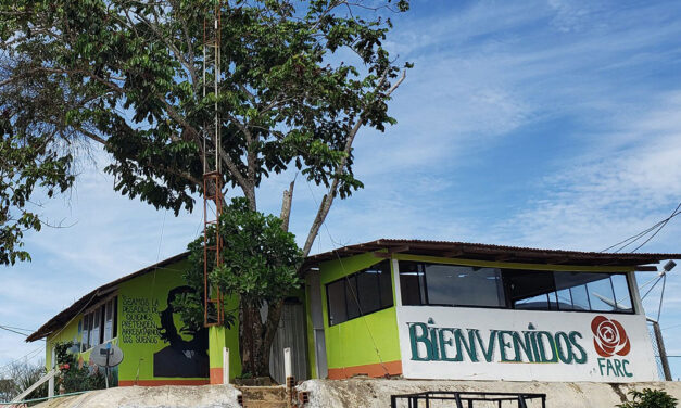 UN Security Council in Colombia to monitor peace process