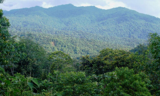 ‘There exists no state’ on Colombia’s Pacific coast: ombudsman