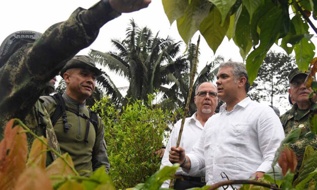 Farmers prepare mass protests as Colombia abandons counternarcotics strategy