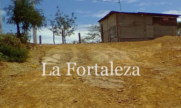 Starving Colombia: the neighborhood where 15 children died in 6 months