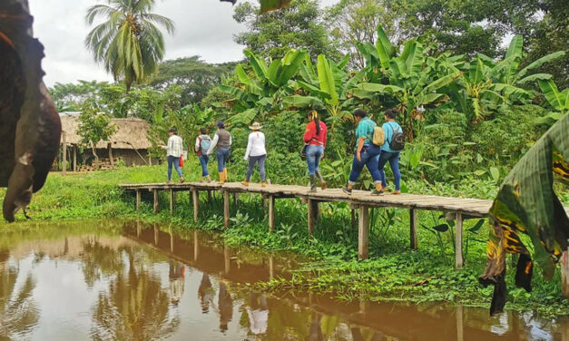 Native Colombia’s fighting COVID without government