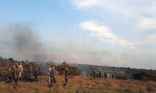 ‘COVID-19 pandemic aggravated impact of armed conflict in Colombia’