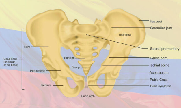 Colombia suspends right to ‘pubic’ protests ahead of national strike