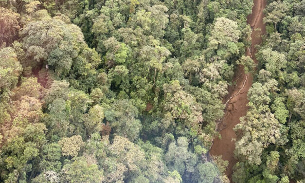 Mudslide kills at least 11 in northwest Colombia