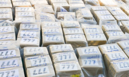 Explainer: Petro’s anti-imperialist counternarcotics