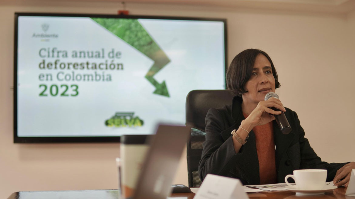 Colombia Reduced Deforestation By 36% In 2023: Government