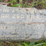 Colombia being bombed from Ecuador: Petro