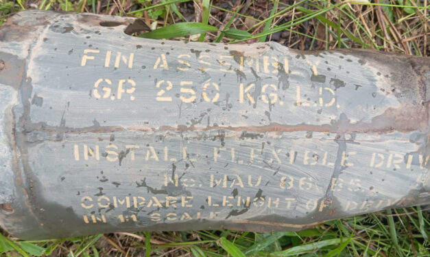 Colombia being bombed from Ecuador: Petro