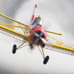 Judge suspends Colombia’s aerial fumigation pilot